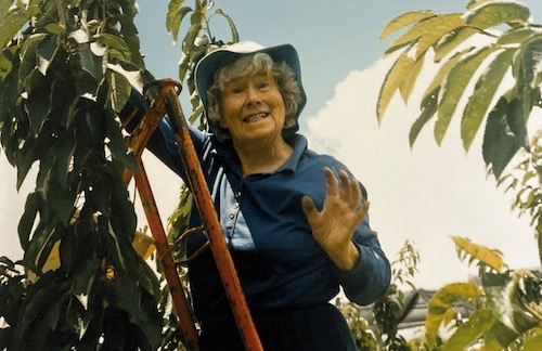 Grandma Rollin in the orchard