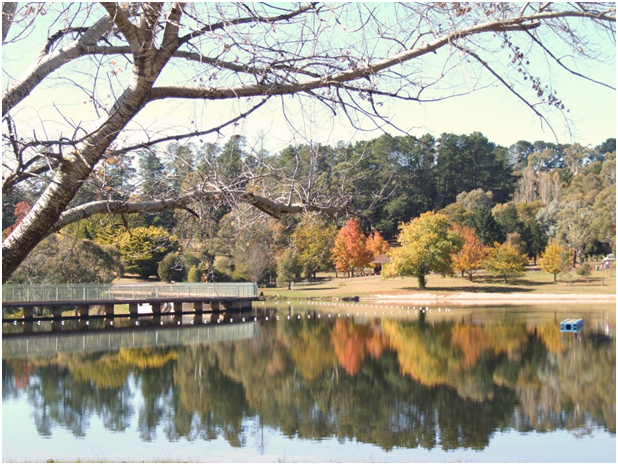 Best Walking Trails in Orange NSW - Basalt Orange