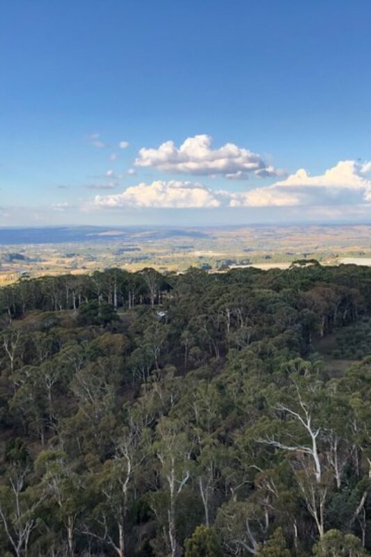 Best Walking Trails in Orange NSW